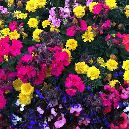 The Park Отель типа 