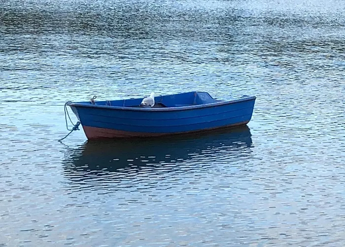 Panzió The Park Kinsale